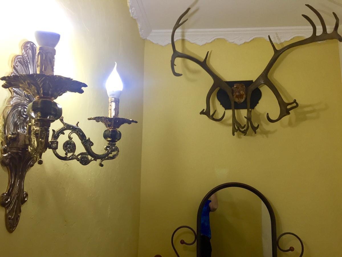 Alma Cinema Hostel Koktobe エクステリア 写真