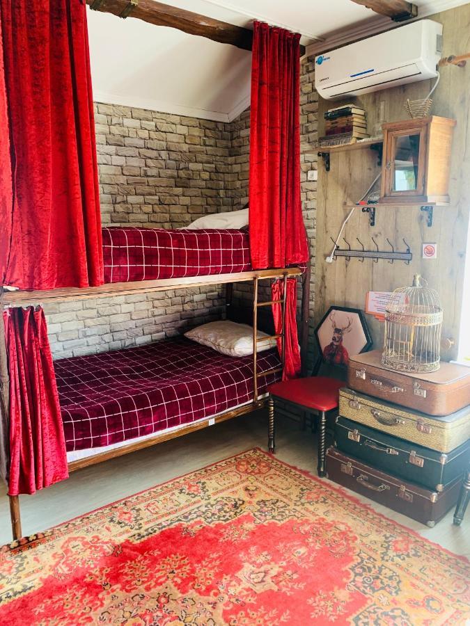 Alma Cinema Hostel Koktobe エクステリア 写真