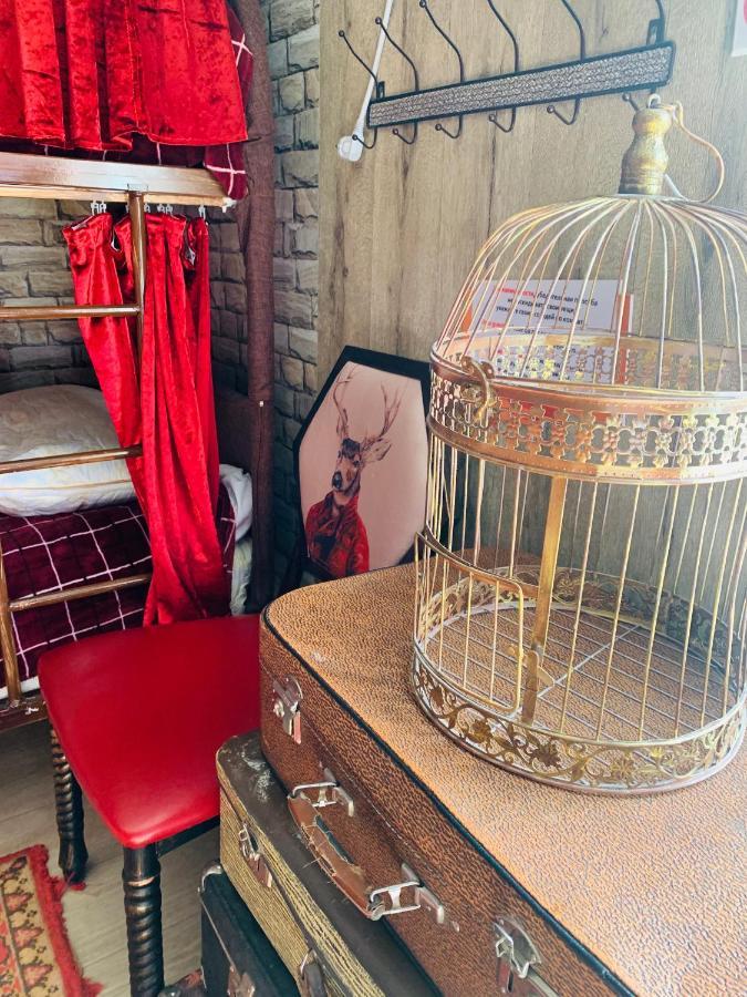 Alma Cinema Hostel Koktobe エクステリア 写真